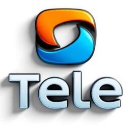 Tele Computers Services